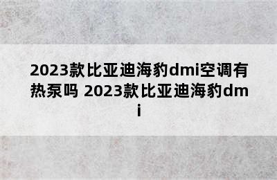 2023款比亚迪海豹dmi空调有热泵吗 2023款比亚迪海豹dmi